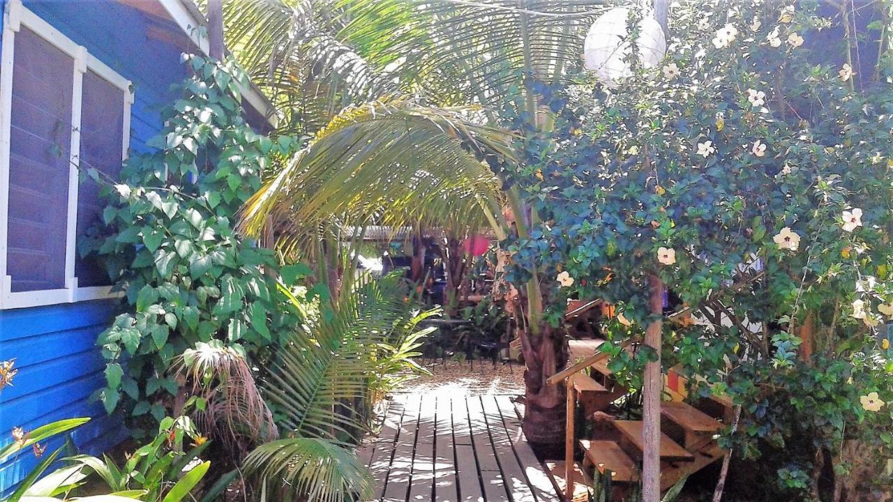 The Funky Dodo Backpackers Hostel Hopkins Eksteriør bilde