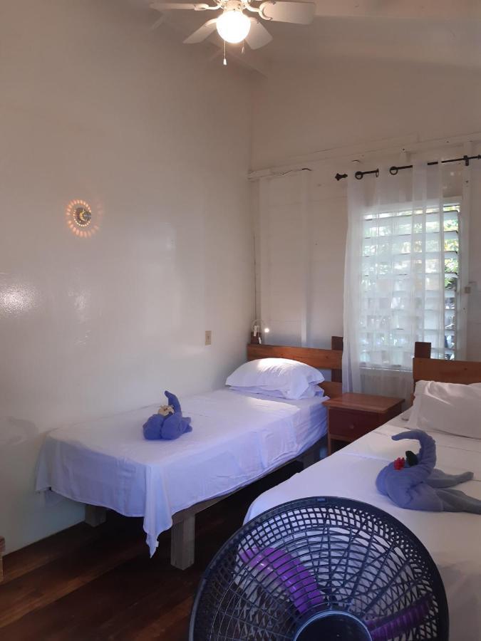 The Funky Dodo Backpackers Hostel Hopkins Eksteriør bilde