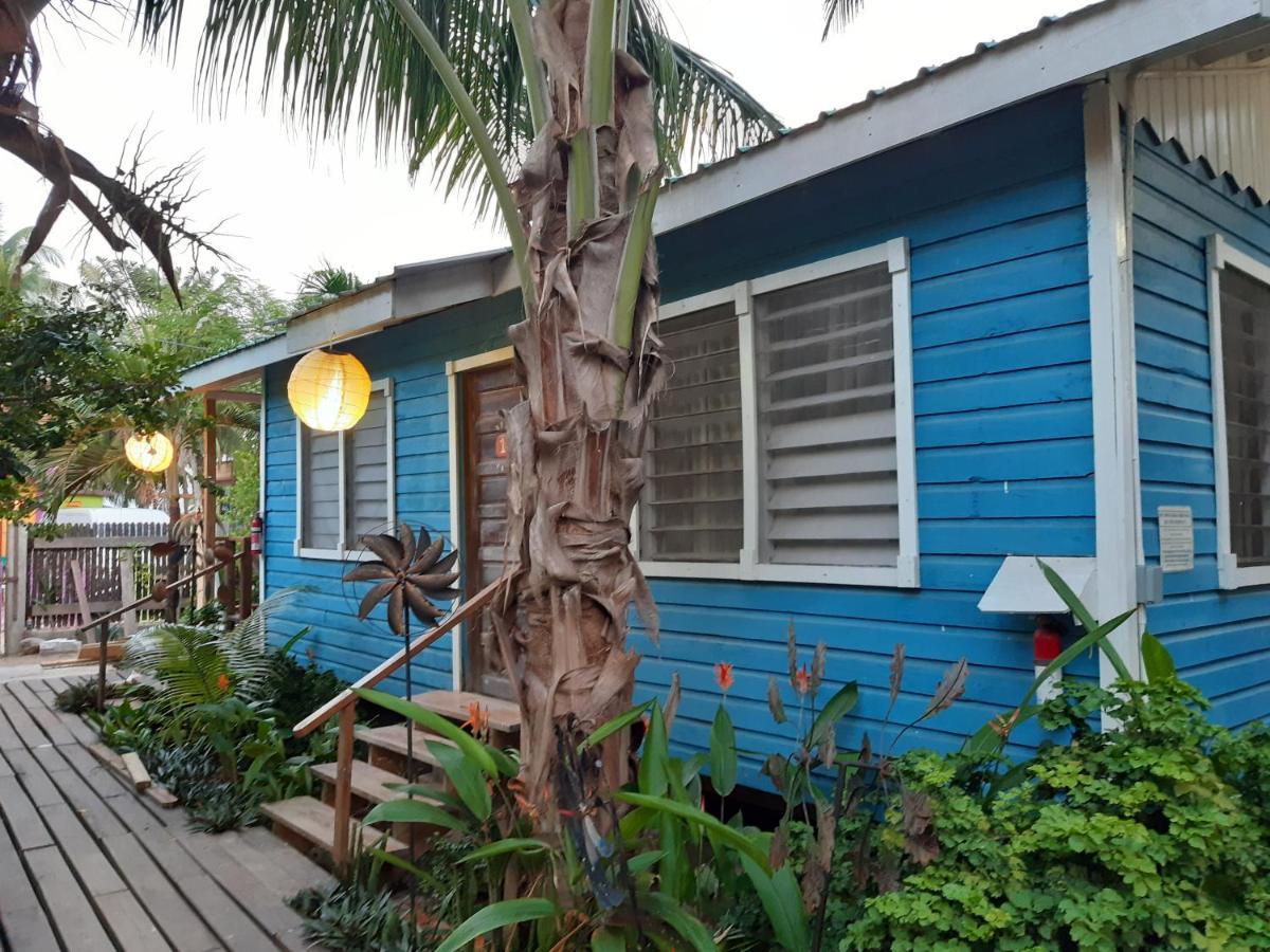 The Funky Dodo Backpackers Hostel Hopkins Eksteriør bilde