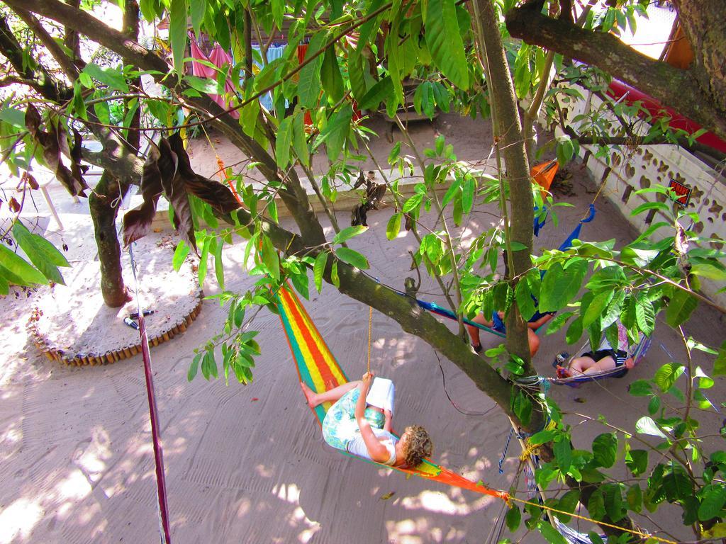 The Funky Dodo Backpackers Hostel Hopkins Eksteriør bilde
