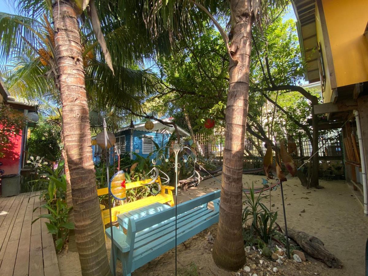The Funky Dodo Backpackers Hostel Hopkins Eksteriør bilde