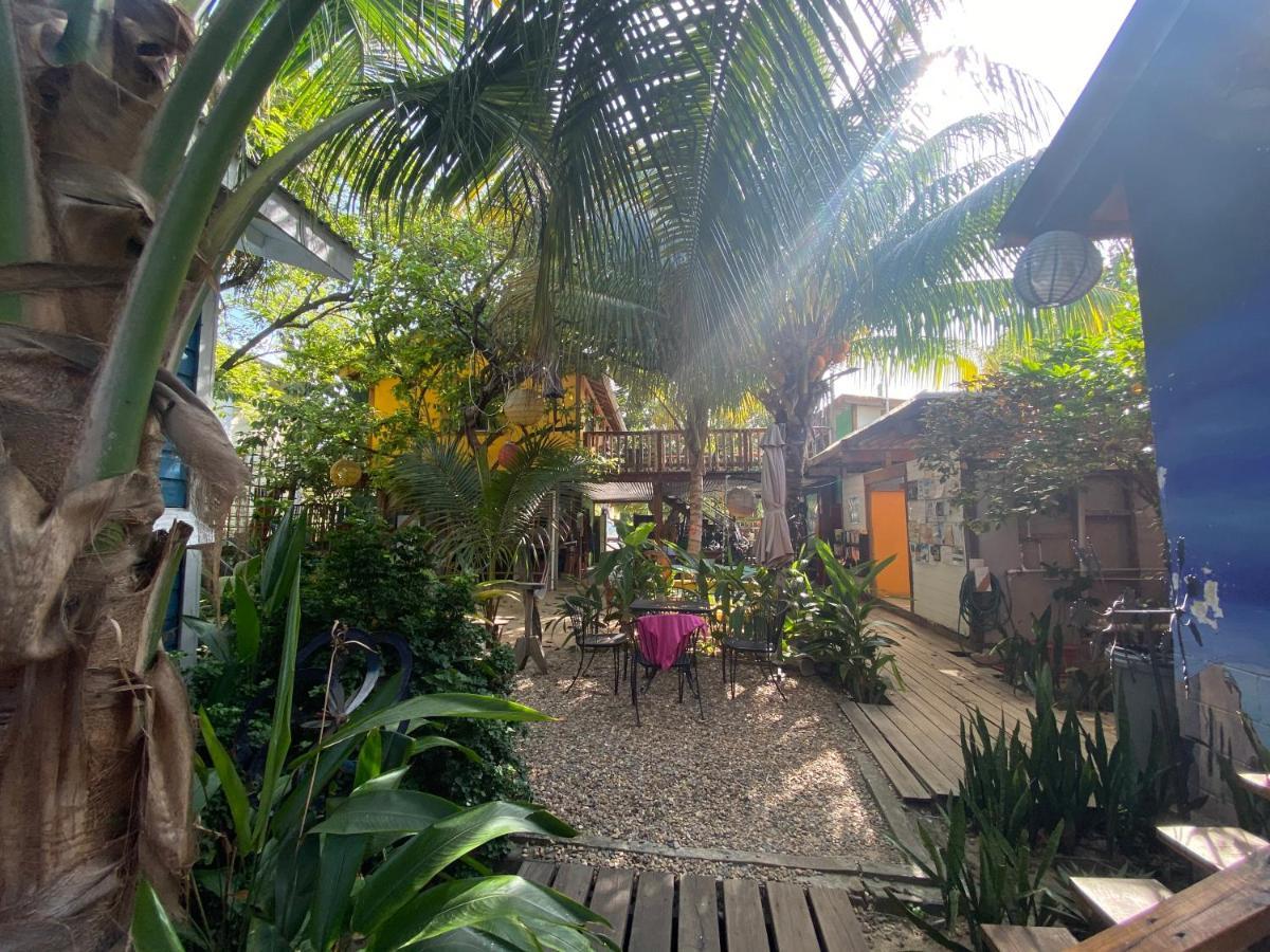 The Funky Dodo Backpackers Hostel Hopkins Eksteriør bilde