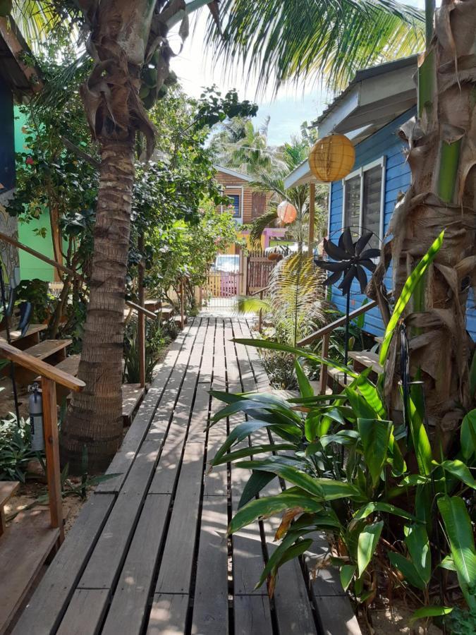 The Funky Dodo Backpackers Hostel Hopkins Eksteriør bilde